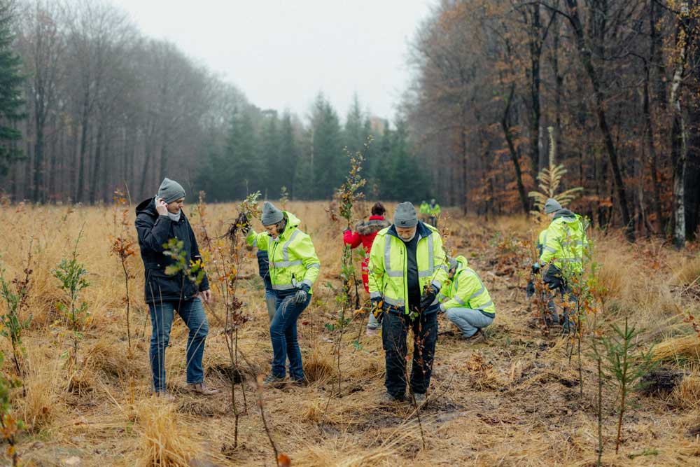 Rhenus Lub forstet weiter auf: 1.000 neue Bäume für den Hardter Wald