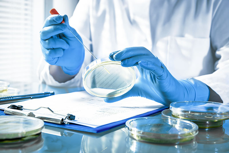 Rhenus Lub Labor für mikrobiologische Tests und Biozid-Forschung